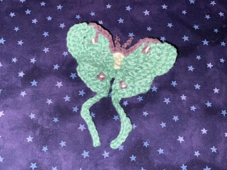 luna moth on purple star background 2